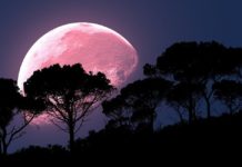 All You Need to Know About the Strawberry Moon